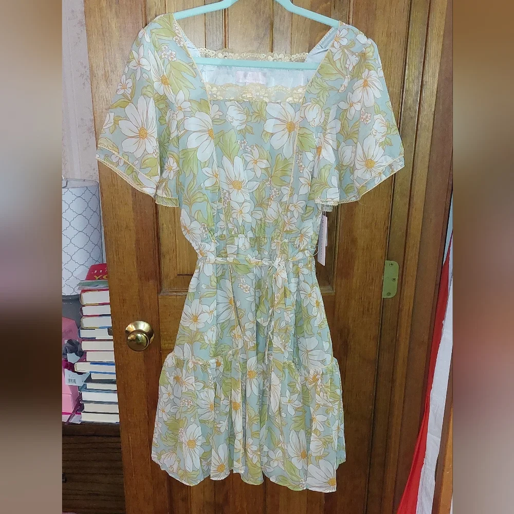 Free People x Rachel Parcell Chiffon Floral Dress - Picture 3 of 12